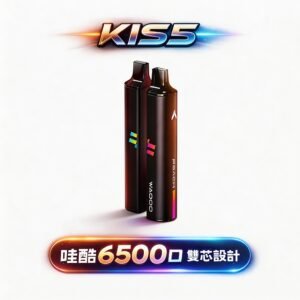 WAGOO 哇酷 6500 型 職人研發 KIS5 全密封系統 徹底終結漏油噩夢 瞬變 78 轉迷幻美學,每一口都是清亮純淨的頂級饗宴 台灣現貨